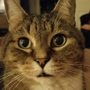 Meet your Posher, Barbara